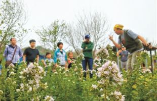 坚定走在培育绿色公民的道路上