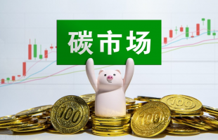 5月全国碳市场量价齐升，欧盟碳边境调节机制（CBAM）正式立法生效