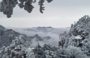 河南西峡太平镇：好生态带热乡村游