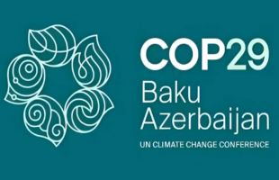 COP29中国角数字化日，阿里巴巴展示AI降碳新路径