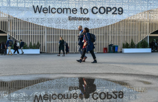 全球碳市场机制在COP29上取得重要进展