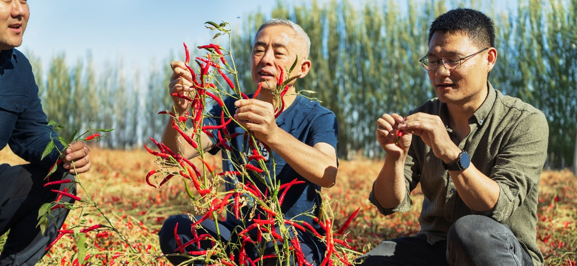 中国科学家获联合国环境规划署2024年“地球卫士奖”