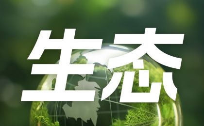 联合国气候变化框架公约秘书处发布气候政策评估新工具