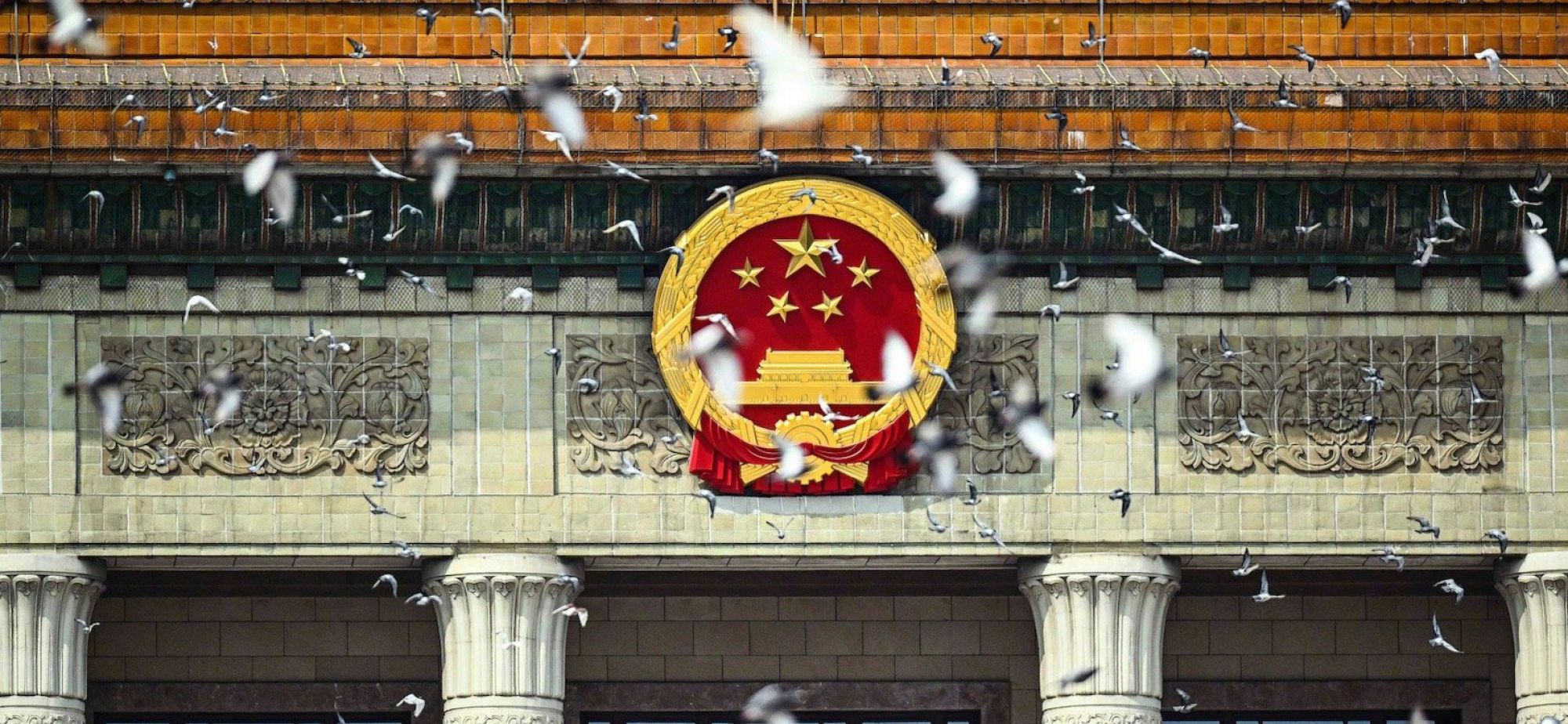 参加阅兵的鸽子都是“借”的？北京市民：鸽子已到家