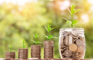 专家：以碳定价机制赋能绿色金融创新