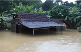越南暴雨引发洪灾致41人死亡  