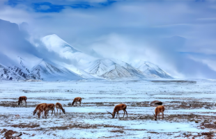 科学家揭示青藏高原如何“造就”烟雨江南  