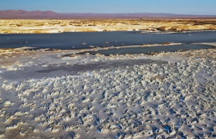 滨海盐沼植被修复项目纳入自愿碳市场，降低开发成本调动社会资本参与  