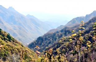 秦岭国家大气本底站进入观测试验阶段  