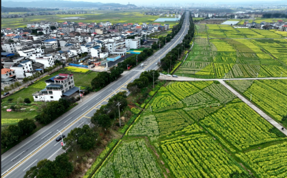 推进乡村全面振兴的理论和实践价值 