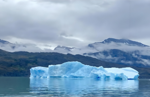 科学家揭示南极冰间湖是高效“碳捕手”  有助于气候变化研究    
