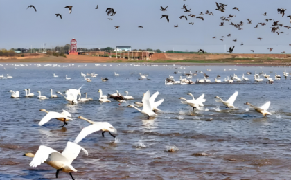 鄱阳湖跌破极枯水位 通江水体面积减九成  