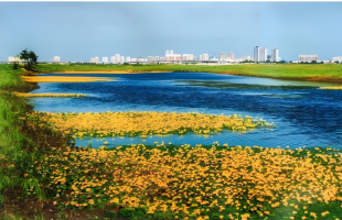 湿地面积稳定在8亿亩以上，“十四五”时期我国湿地保护成效显著  