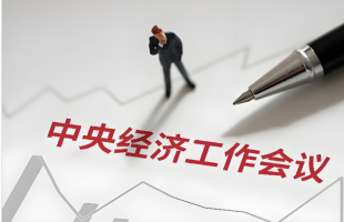  详解2025年中央经济工作会议精神 
