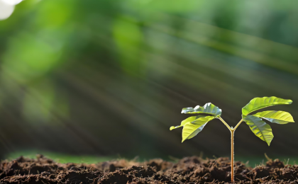 植物工厂里的“黑科技”    