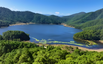 云南已有28个地理标志农产品  带动农户增收24.7亿元   