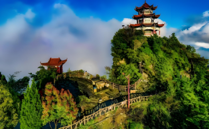 重庆巫溪：一棵树“长”出多种产业  