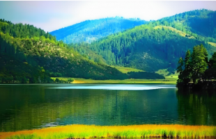 从参与到共享，推进国家公园社区协调发展  