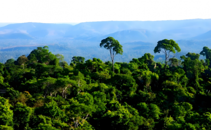 全球变暖，亚马孙雨林会进入“超级热带时代”吗  