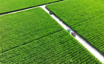 农业农村部高质量推进高标准农田建设 