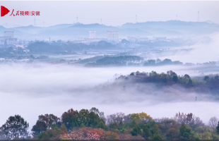 安徽舒城：万佛湖晨雾入画来  