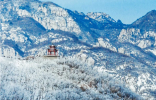 “热雪”沸腾！冬日文旅活力盎然   