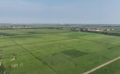 努力让农田“高产”又“绿色”    