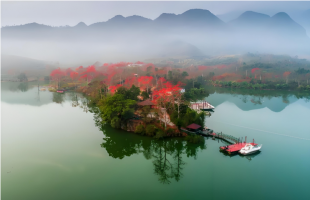 海南昌江：让更多人感受湿地魅力  