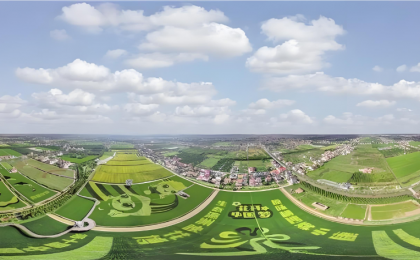 “现在路子是对的，要继续走下去”    