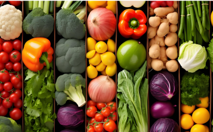 推动农业科技创新迈上新台阶  