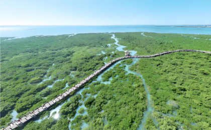 平陆运河，与绿色同行 