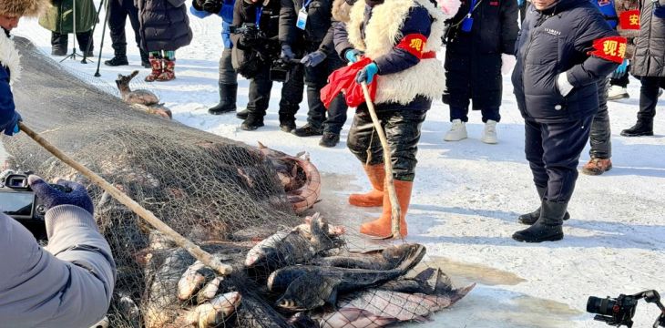 镜泊湖冬捕：一网开冰湖，沸了丰年 