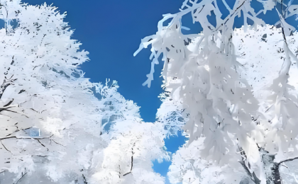 吉林市琼枝玉树雾凇如画  