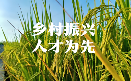 ​守牢最大确定性，开创乡村全面振兴新局面    