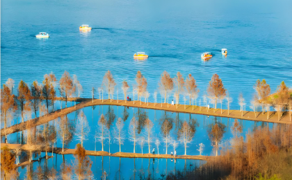  一张“碳票”换来生态红利 