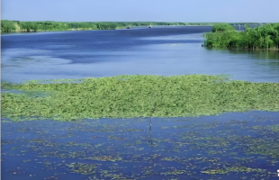 如何理解持续建设国家生态文明试验区，建设美丽中国先行区 