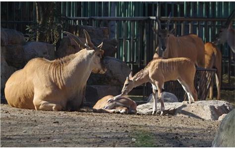 微信图片_20191018153506.jpg 微信图片_20191018153506.jpg