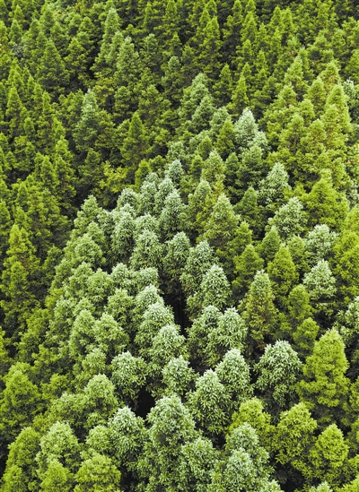 20191125100616759314447.jpg 20191125100616759314447.jpg