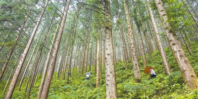 20191125100632089641779.jpg 20191125100632089641779.jpg