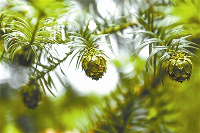 20191125100647246797754.jpg 20191125100647246797754.jpg