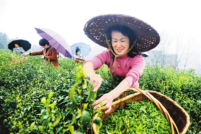 微信图片_20200323172131.jpg