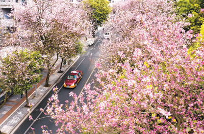 微信图片_20200403163207.jpg 微信图片_20200403163207.jpg