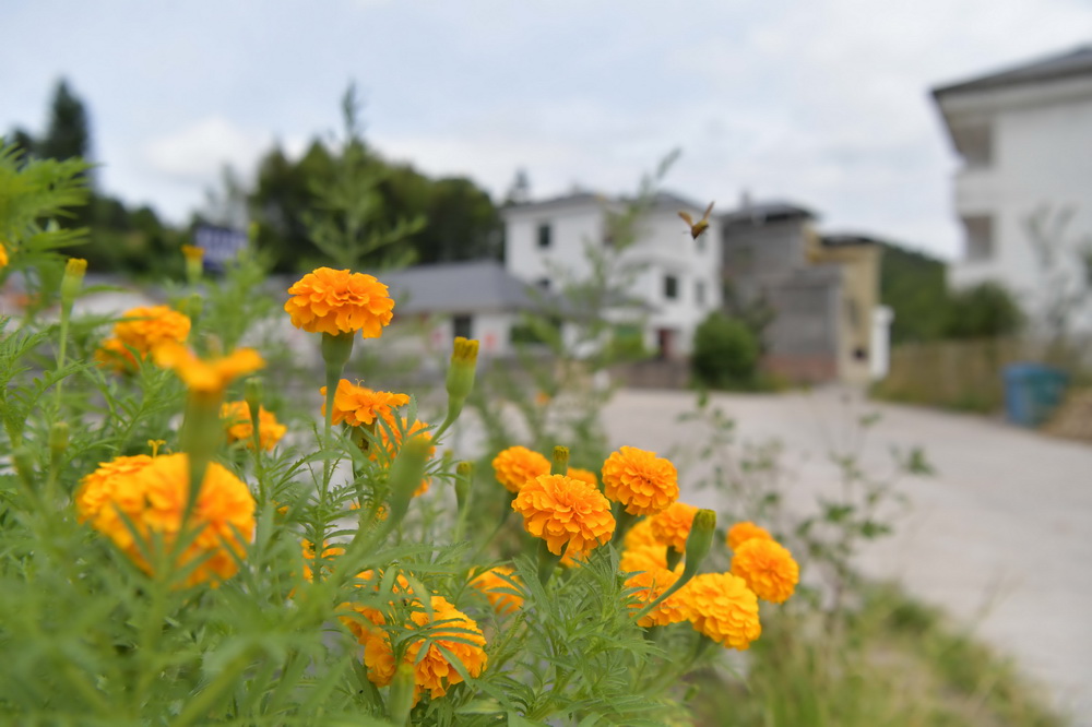 微信图片_20200922114720.jpg 微信图片_20200922114720.jpg