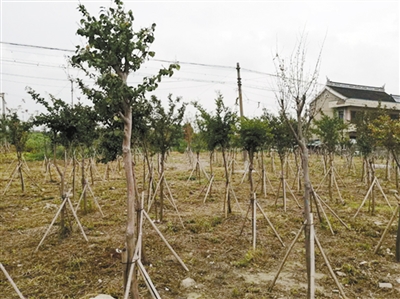 微信图片_20200929150553.jpg 微信图片_20200929150553.jpg