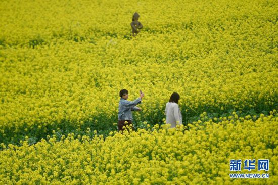 3月21诶.jpg