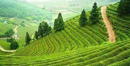 扶贫的.jpg 扶贫的.jpg