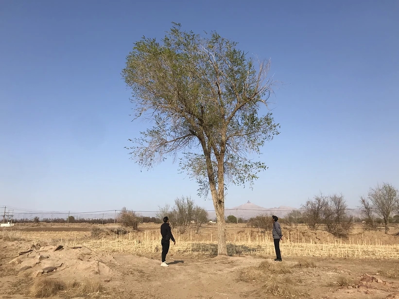 马云.webp.jpg 马云.webp.jpg