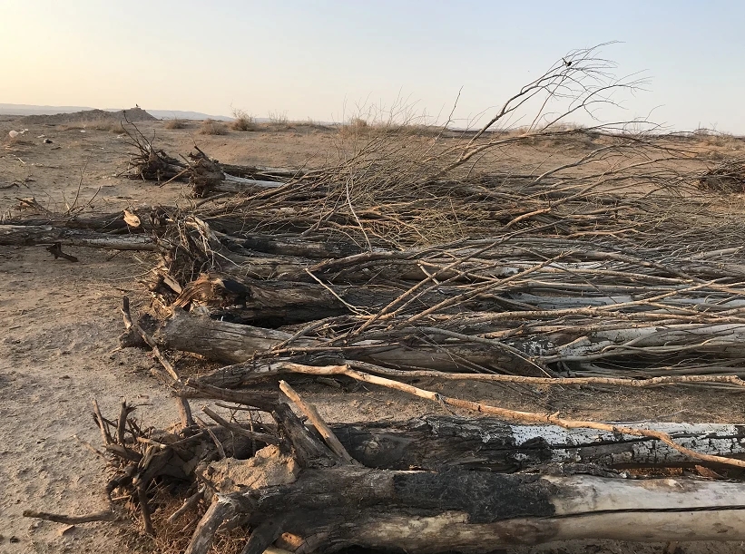 乌兰.webp.jpg 乌兰.webp.jpg