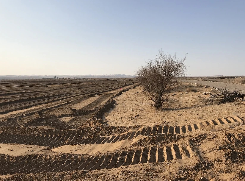 至于.webp.jpg 至于.webp.jpg