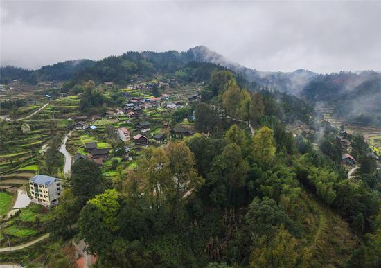 èªæå¤©æ±å¿å¤æ æâåå¤ééå°æã